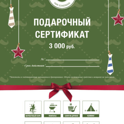 23 февраля - 3000 руб