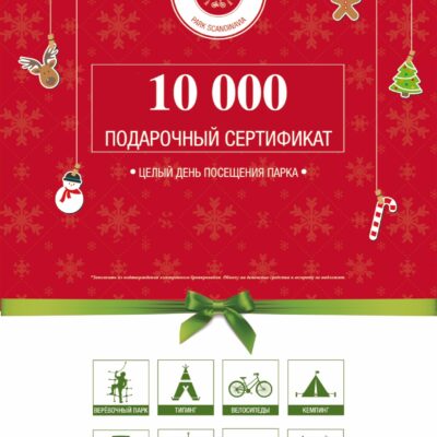 "Новогодний" - 10000 руб