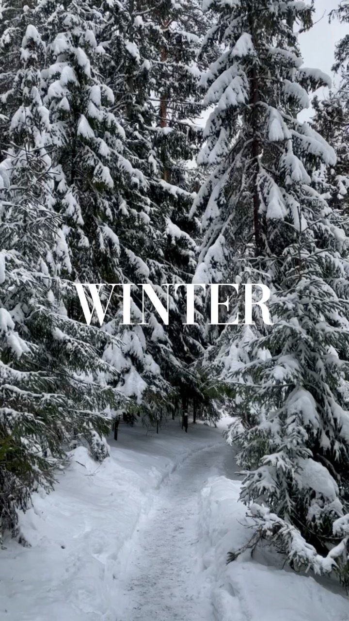 Winter is a magic ...